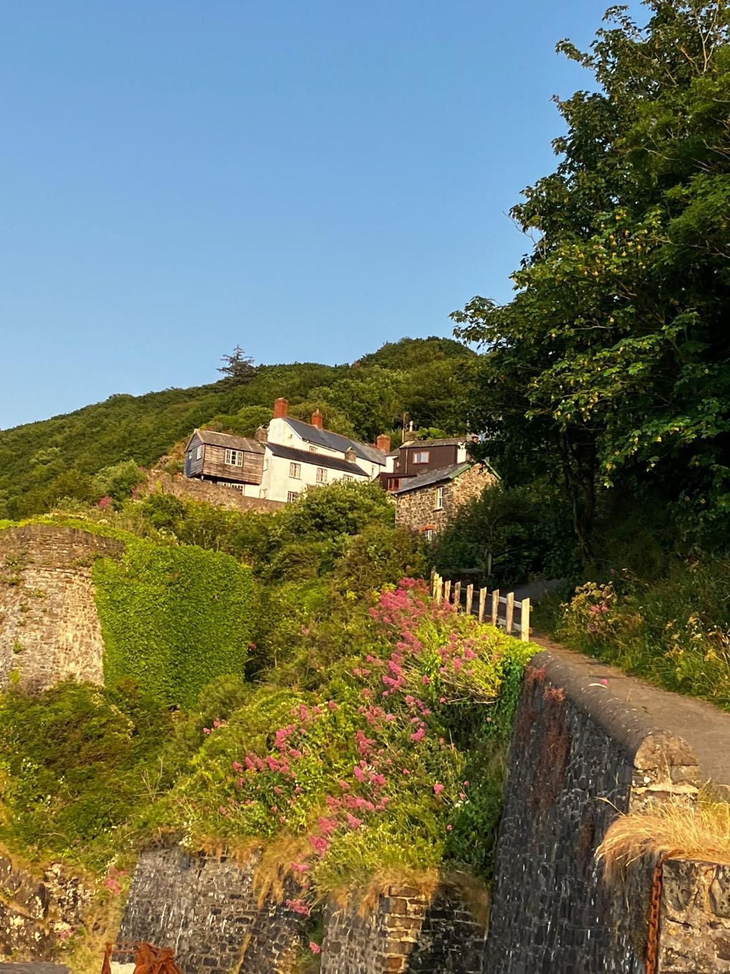 Cosy Boathouse Cottage By The Sea With Log Burner Bucks Mills Exterior photo